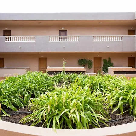 Live Medano Blanquitos Apartamento El Médano